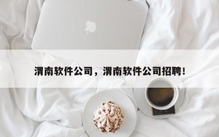 渭南软件公司，渭南软件公司招聘！